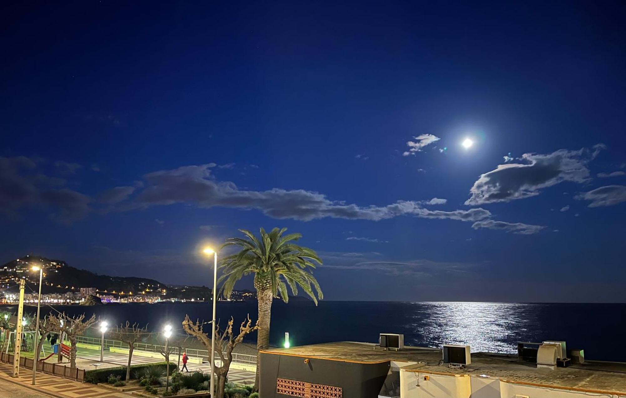 Estudio Con Impresionantes Vistas Al Mar Blanes Εξωτερικό φωτογραφία